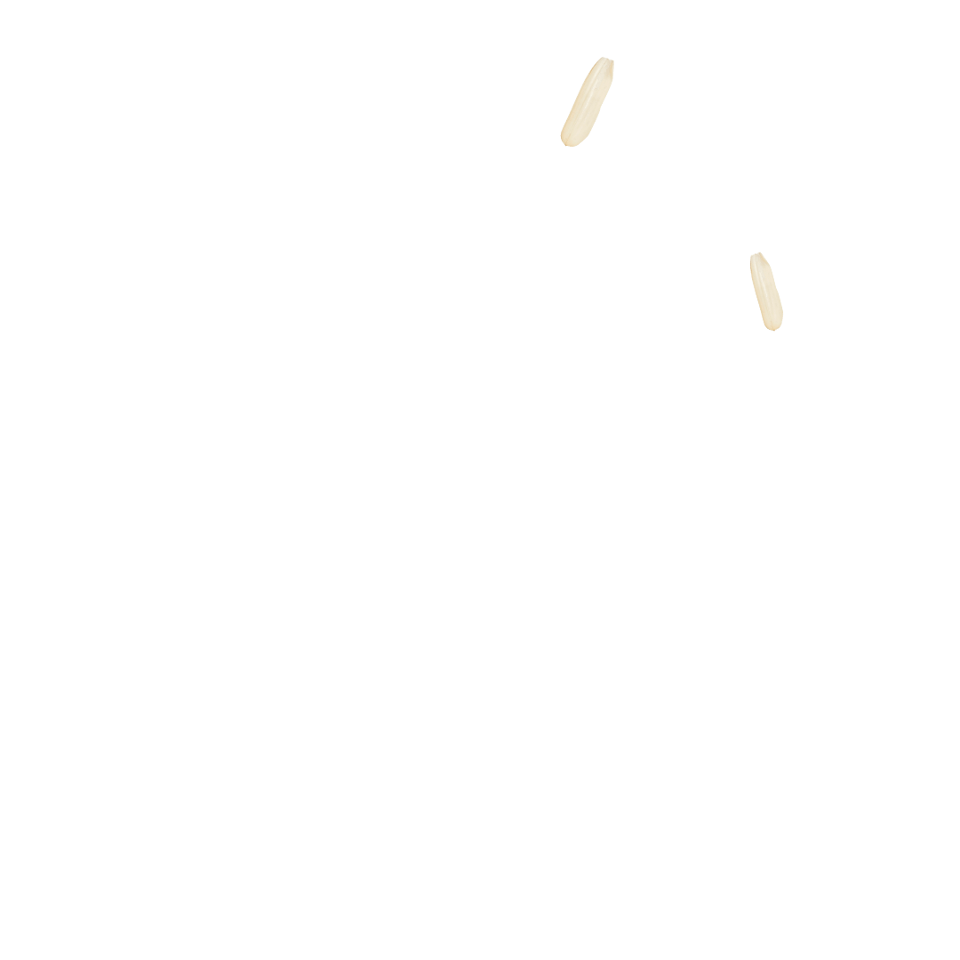 روغن کانولا پروبالانس