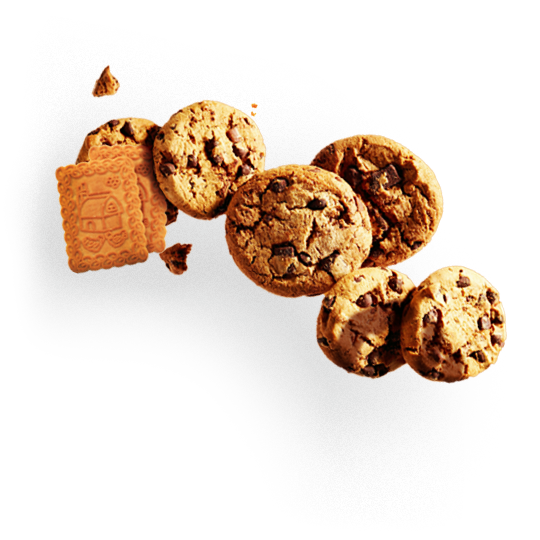شورتنینگ بیسکو لایت